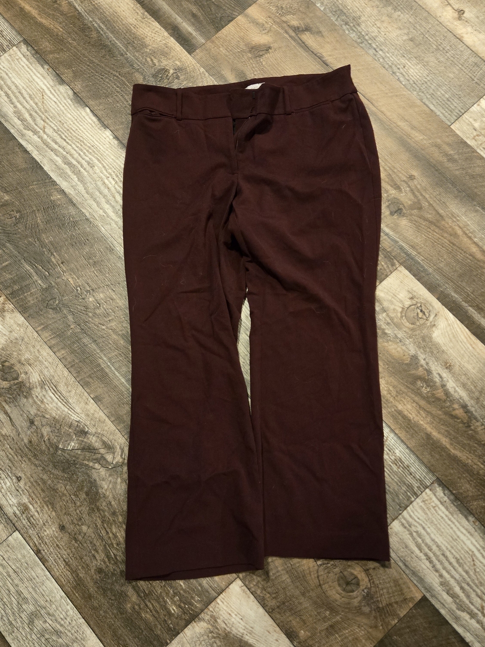LOFT Women's Bootcut Pants in Deep Burgundy
